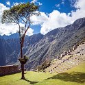 PER CUZ MachuPicchu 2014SEPT15 102 : 2014, 2014 - South American Sojourn, 2014 Mar Del Plata Golden Oldies, Alice Springs Dingoes Rugby Union Football Club, Americas, Cuzco, Date, Golden Oldies Rugby Union, Machupicchu, Month, Peru, Places, Pre-Trip, Rugby Union, September, South America, Sports, Teams, Trips, Year